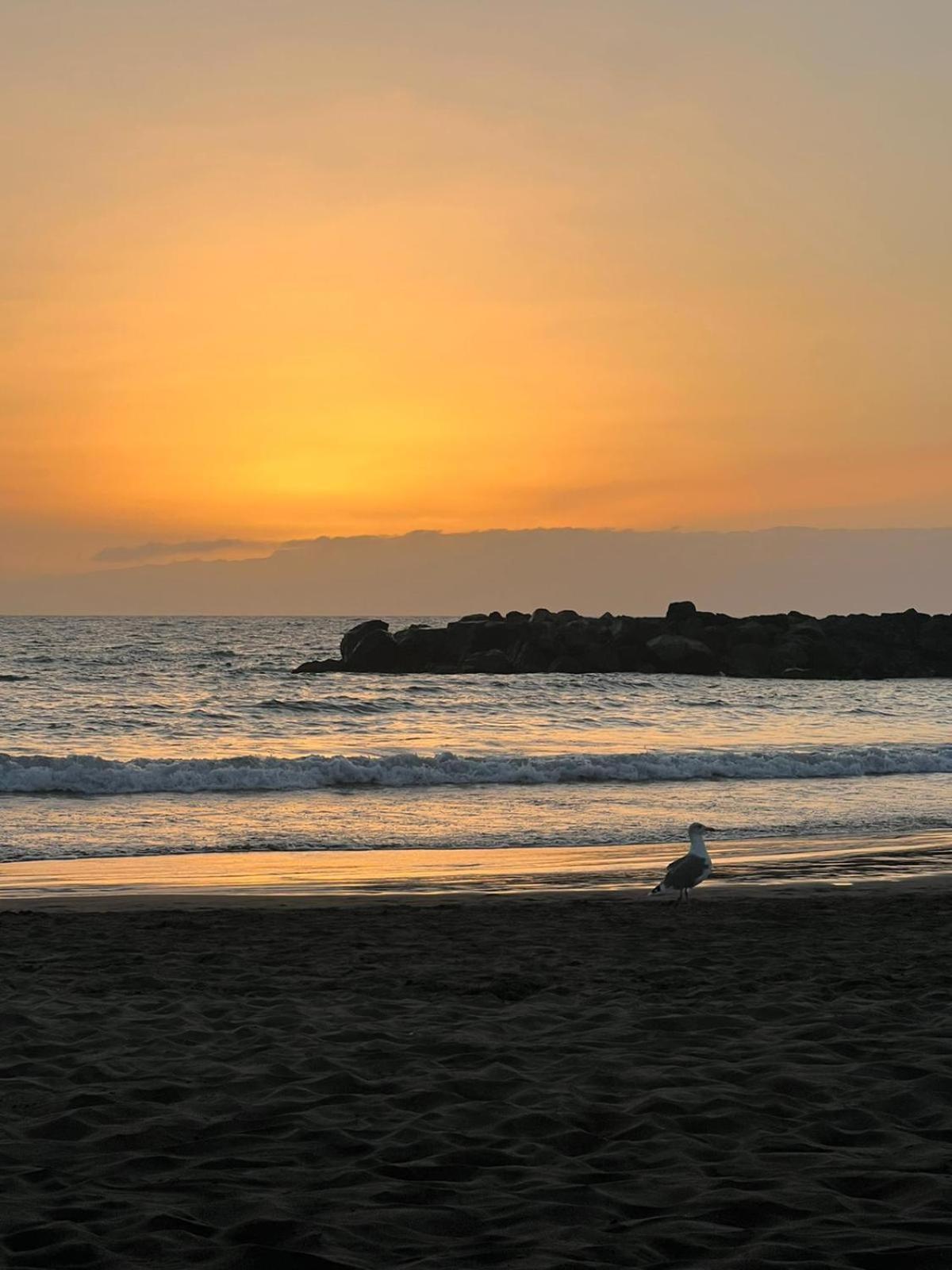 Apartamento en primera línea de playa, céntrico, tranquilo Playa de las Américas Exterior foto